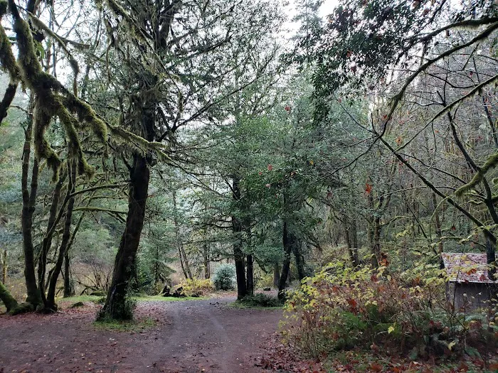 Myrtle Grove Campground Picture 3