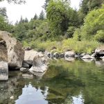 Myrtle Grove Campground