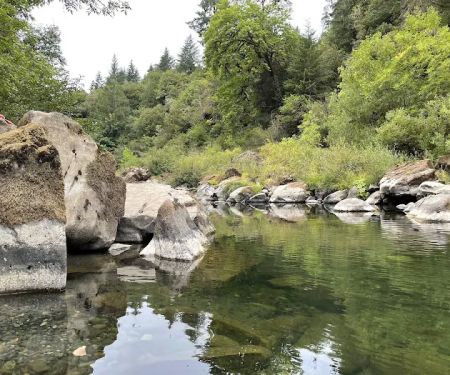 Myrtle Grove Campground