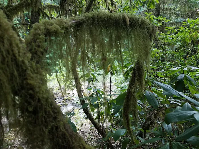 island campground Picture 9