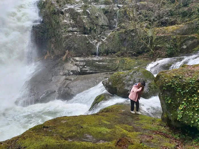 island campground Picture 1