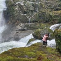 island campground ico