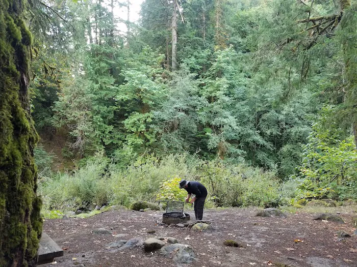 island campground Picture 2