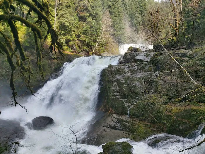 island campground Picture 5