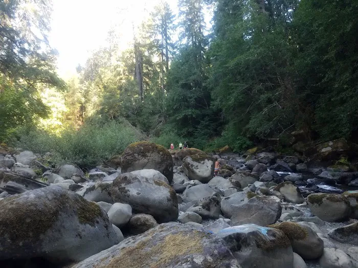 island campground Picture 6