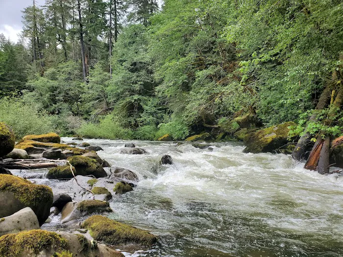 island campground Picture 3