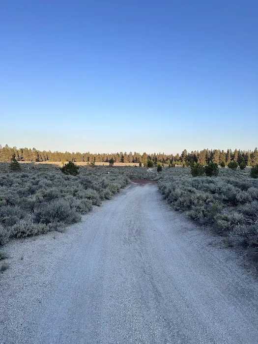 Sand Springs Campground Picture 8