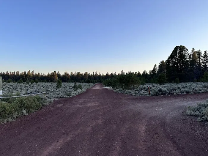 Sand Springs Campground Picture 3