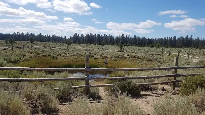 Sand Springs Campground Picture 5