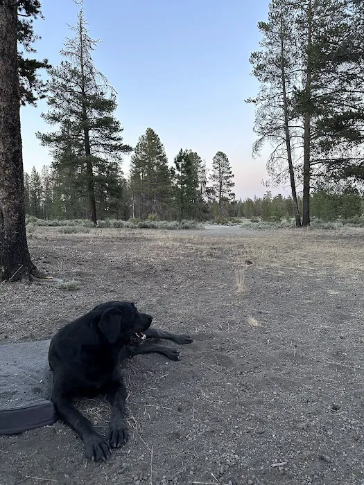 Sand Springs Campground Picture 6