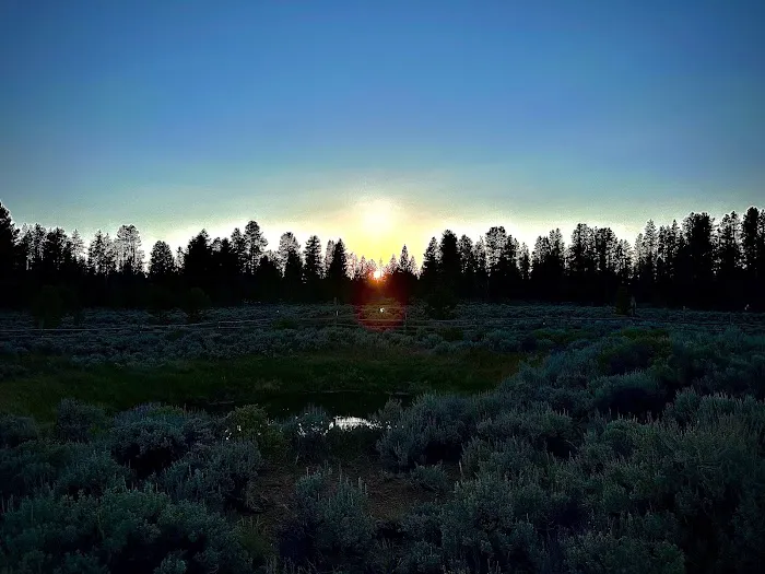 Sand Springs Campground Picture 7