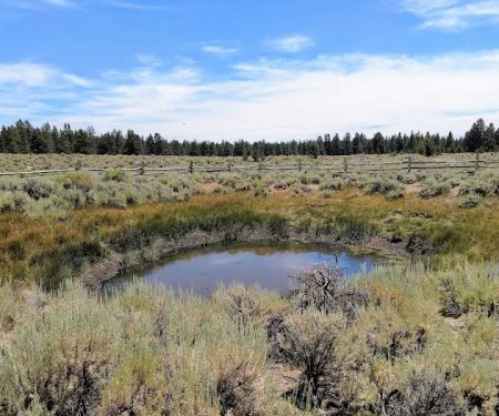 Sand Springs Campground