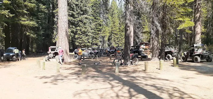 Scott Creek Campground Picture 5