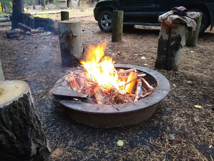 Scott Creek Campground Picture 3