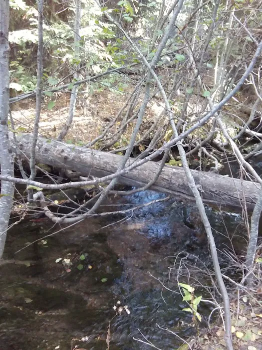 Scott Creek Campground Picture 9