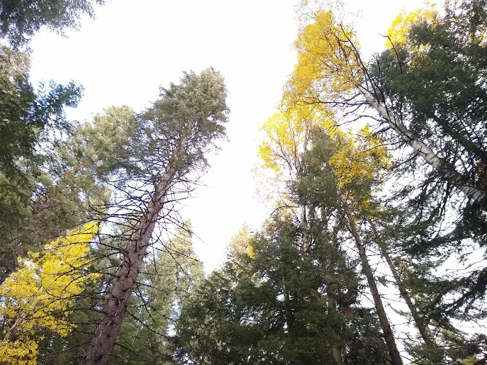 Scott Creek Campground Picture 1