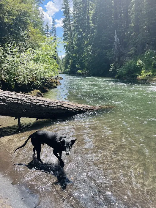 Farewell Bend Campground Picture 10