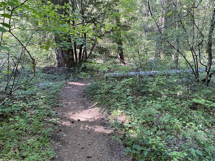 Farewell Bend Campground Picture 8