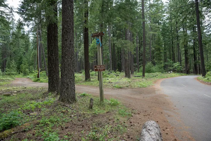 Union Creek Campground- Rogue River Picture 9
