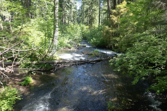 Union Creek Campground- Rogue River Picture 8