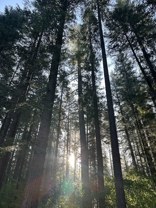 Union Creek Campground- Rogue River Picture 6