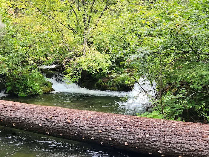 Union Creek Campground- Rogue River Picture 7