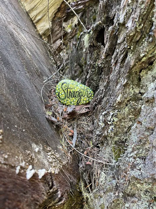 Natural Bridge Campground Picture 5