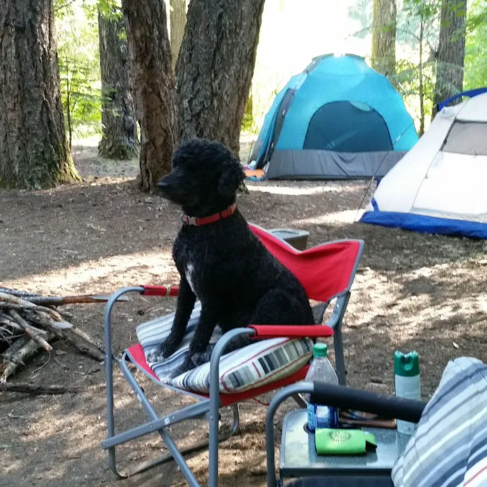 Natural Bridge Campground Picture 4