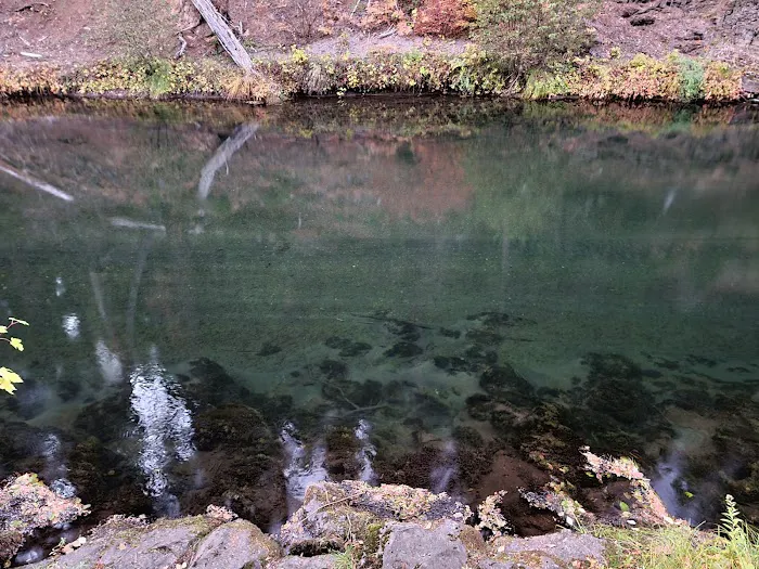 Natural Bridge Campground Picture 6