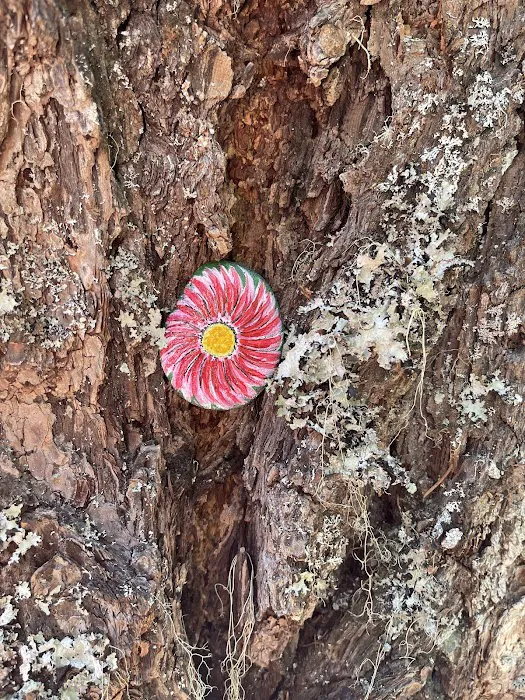 Natural Bridge Campground Picture 8