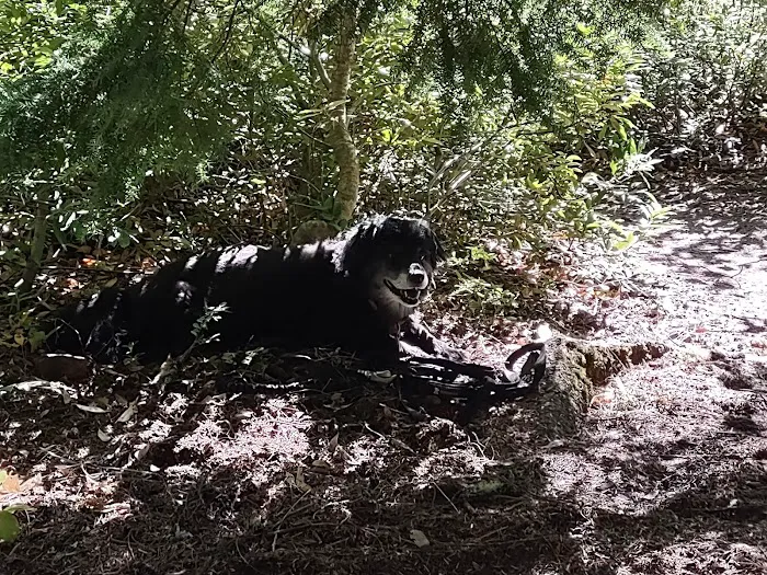 Natural Bridge Campground Picture 2