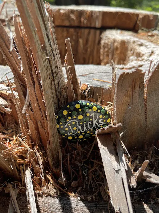 Natural Bridge Campground Picture 3