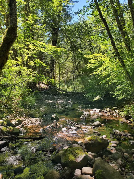 Woodruff Bridge Day Use Picture 8