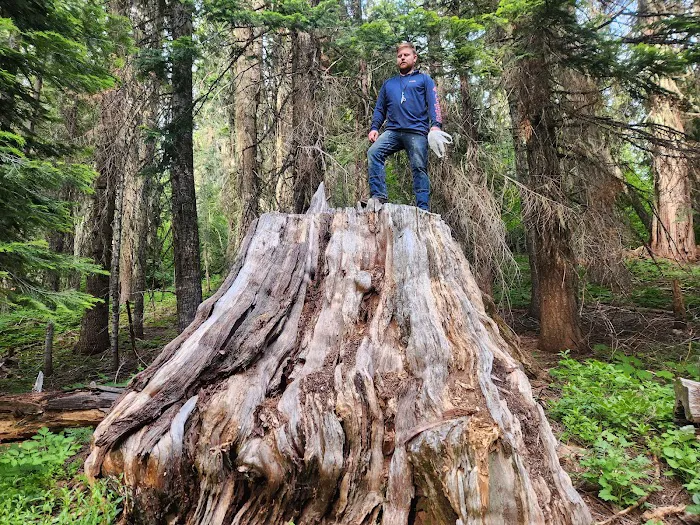 Woodruff Bridge Day Use Picture 4