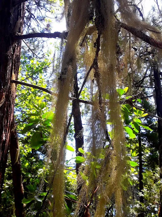 Union Rogue Baptist Camp Picture 3