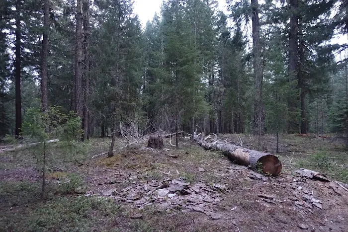 Union Rogue Baptist Camp Picture 9