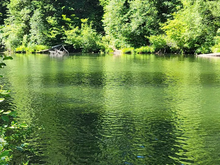 River Bridge Campground Picture 4