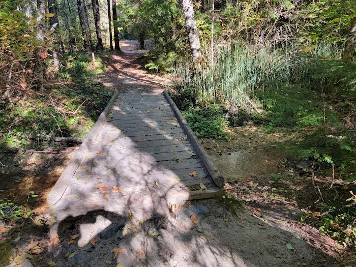 Elderberry Flats Campground and Picnic Area Picture 5