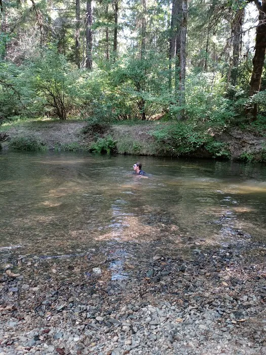 Elderberry Flats Campground and Picnic Area Picture 1