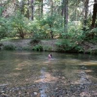 Elderberry Flats Campground and Picnic Area ico