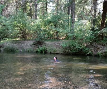 Elderberry Flats Campground and Picnic Area