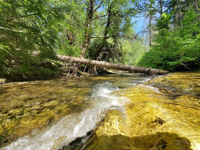 Elderberry Flats Campground and Picnic Area Picture 8