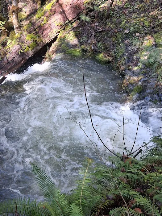 Elderberry Flats Campground and Picnic Area Picture 9