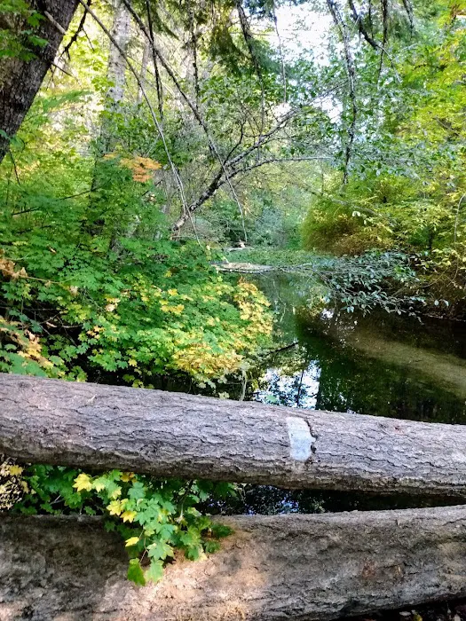 Elderberry Flats Campground and Picnic Area Picture 7