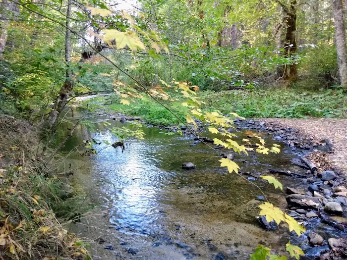 Elderberry Flats Campground and Picnic Area Picture 2
