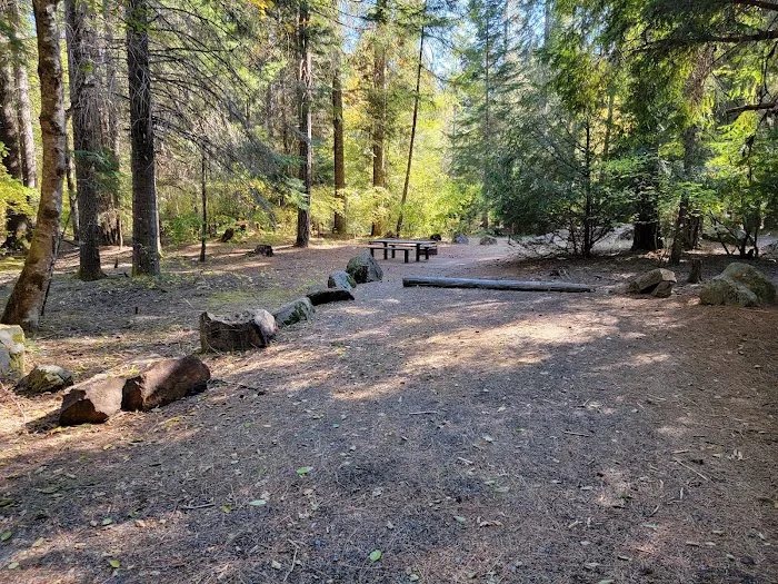 Elderberry Flats Campground and Picnic Area Picture 6