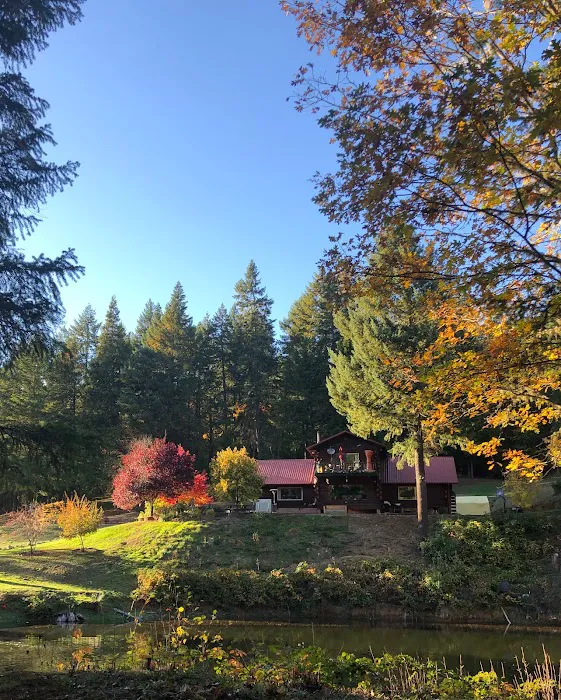 Sunny Valley Resort Picture 5