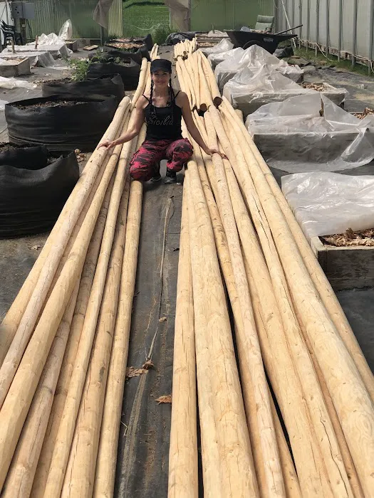 Sunny Valley Resort Picture 9