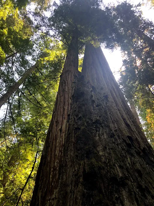 Sunny Valley Resort Picture 7