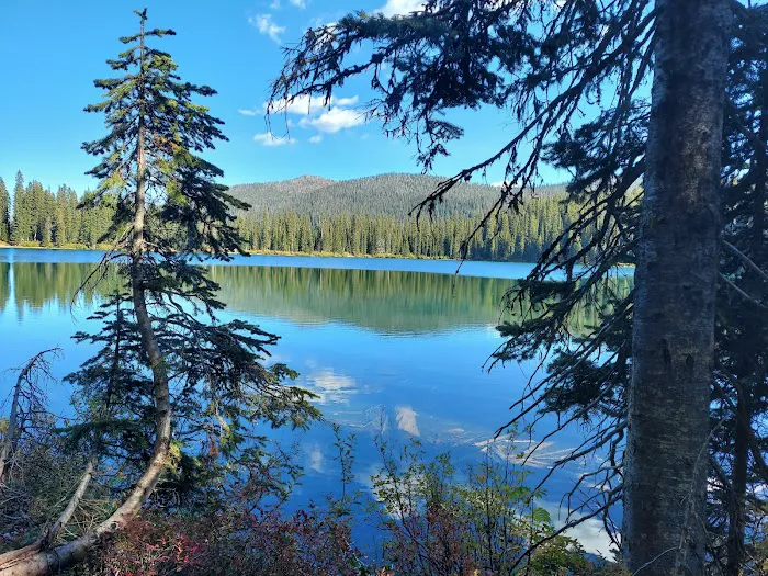 Therriault Lake Campground Picture 2